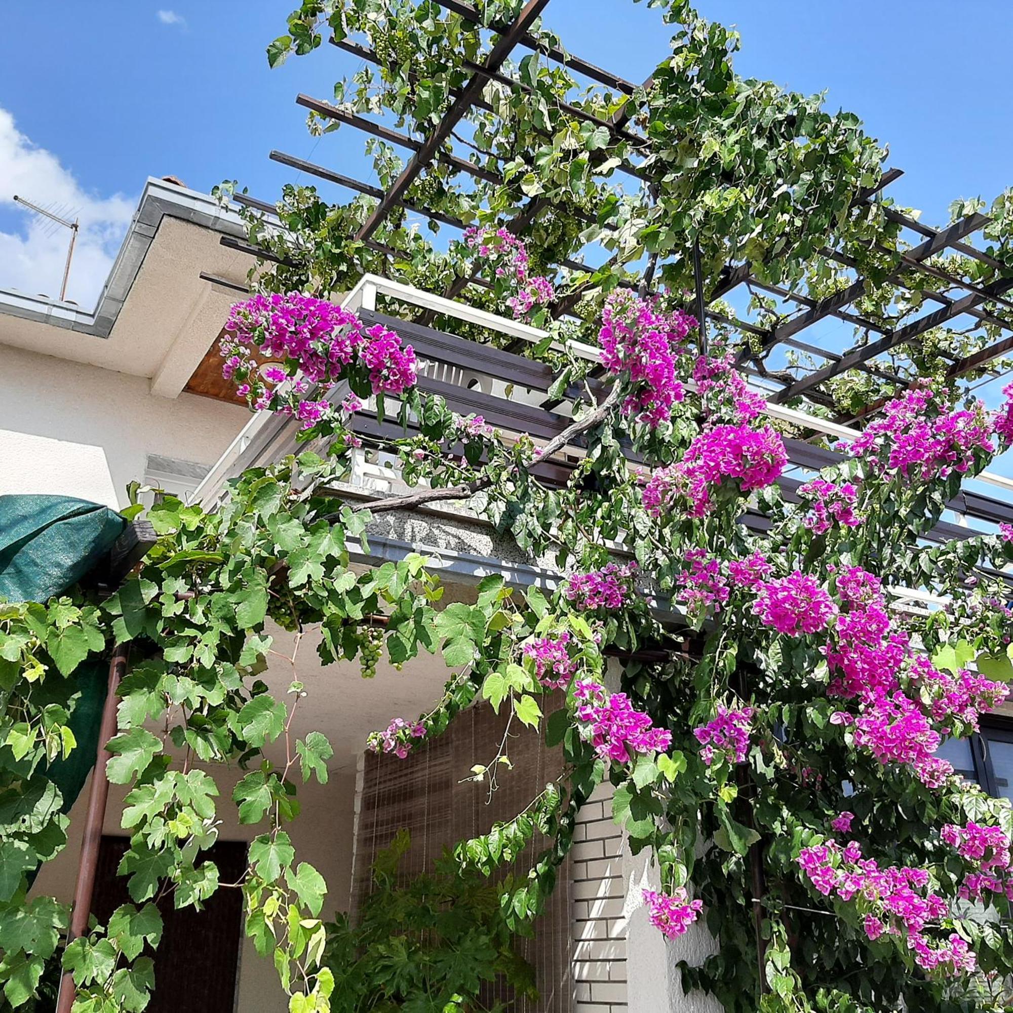 Klimno100 Apartment Ngoại thất bức ảnh